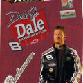 dale earnhardt  budweiser 8   dei  company