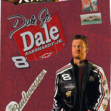 dale earnhardt  budweiser 8   dei  company