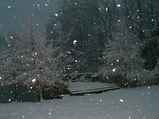 Snowflakes at night