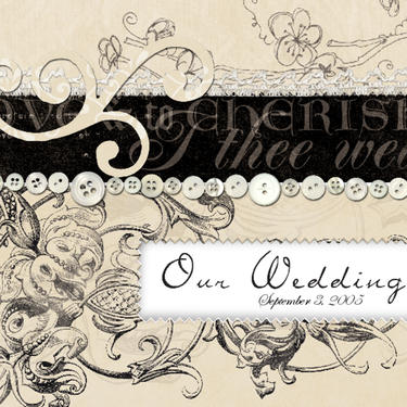 Princess Bride &quot;Our Wedding&quot; Title Page
