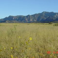 Huachuca Mtns, AZ