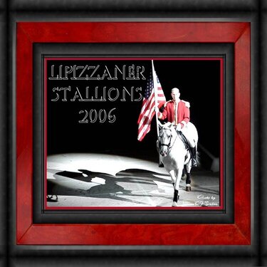 Lipizzaner Stallions 2006