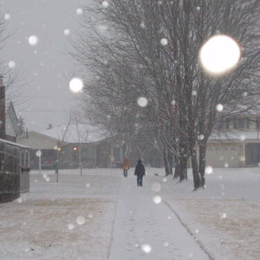 Snow at the Bus Stop