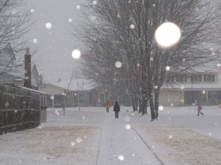 Snow at the Bus Stop