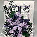 Purple Poinsettia