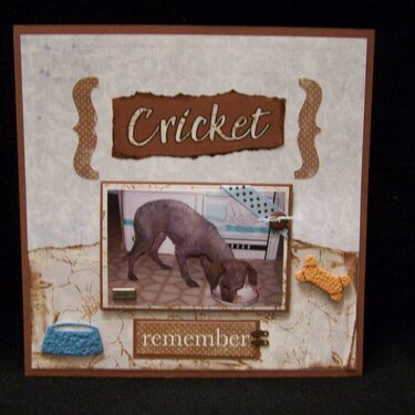 Cricket 1