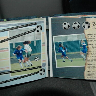 soccer book
