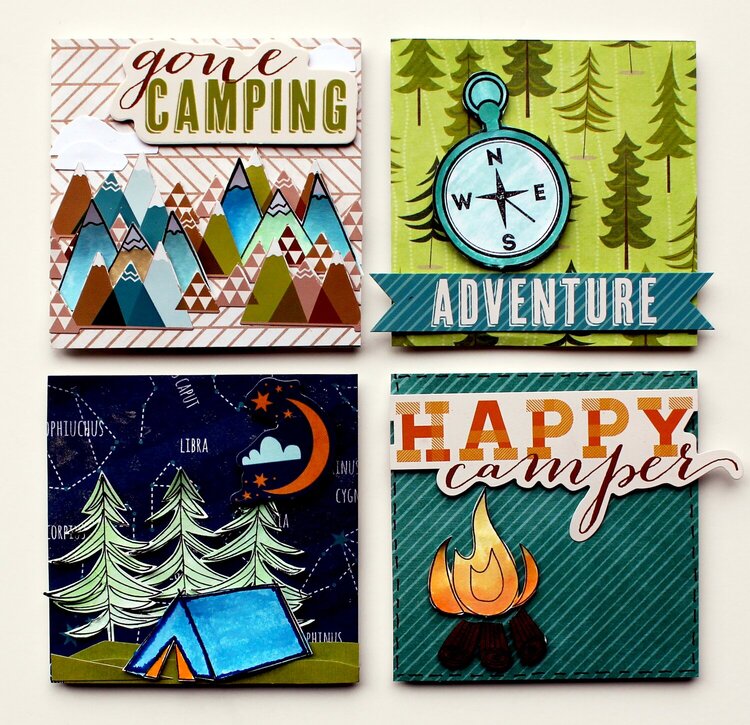 Camping Canvases