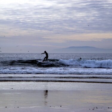 California Surfer 