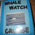 Whale_Watch