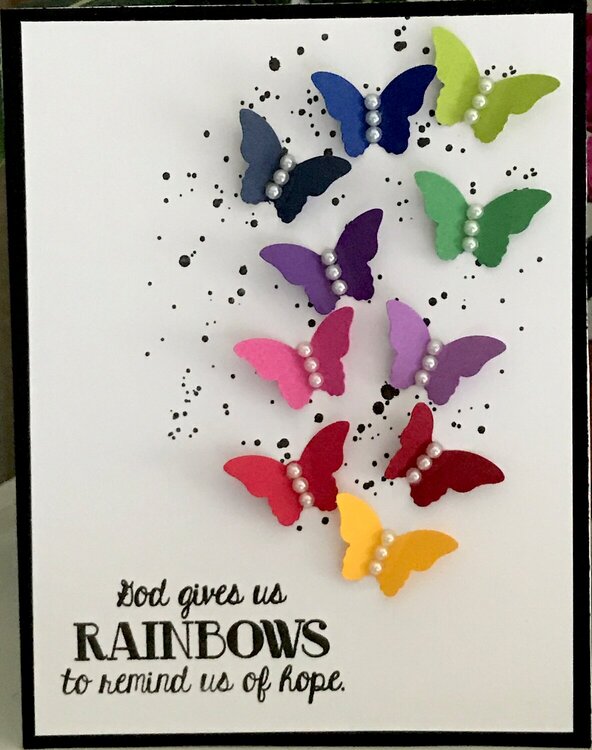 Butterfly Rainbow