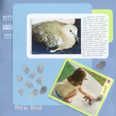 Petie Bird