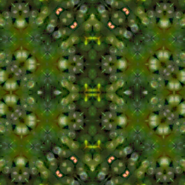 Forest Rug