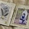 Nature Journal