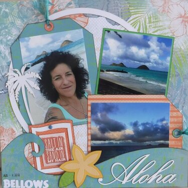 Aloha from Bellows