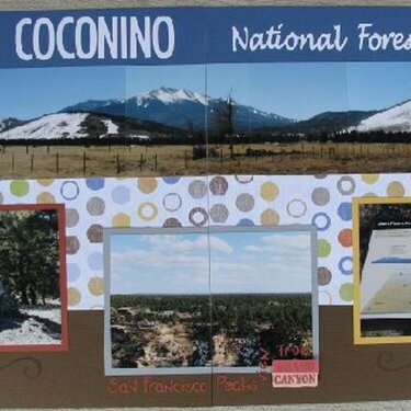 Coconino National Forest