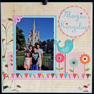 Magic kingdom family photo