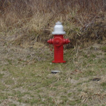1.  A fire hydrant. 5 pts