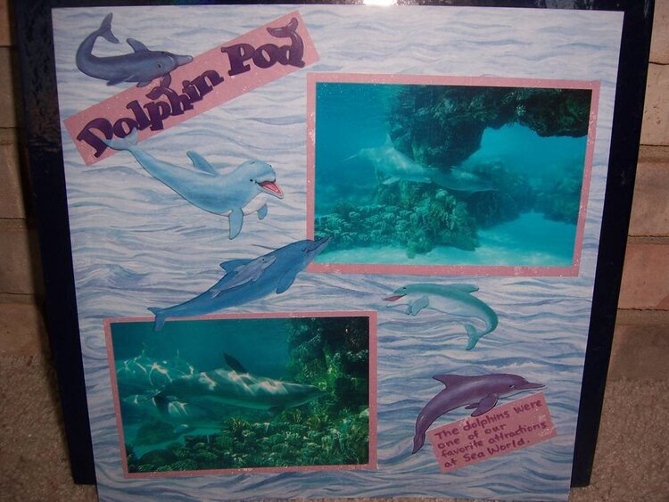 Dolphin Pool