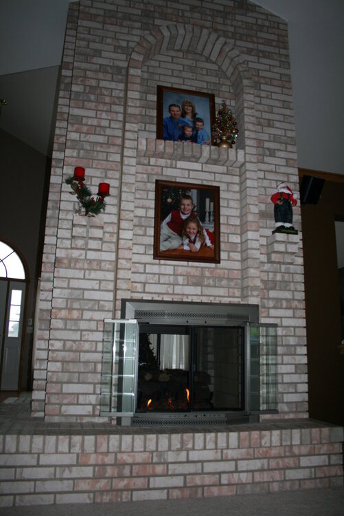 front of our new fireplace doors