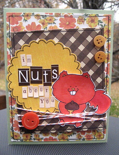 NUTS about you