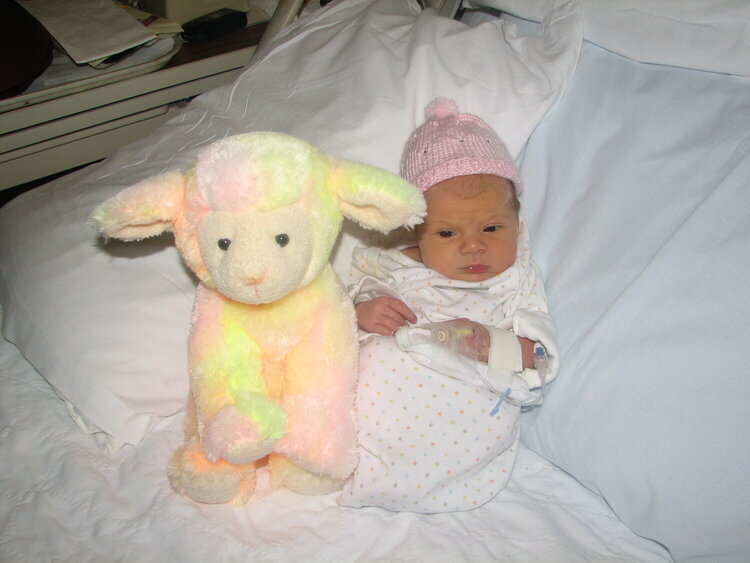 Katie and her lamb