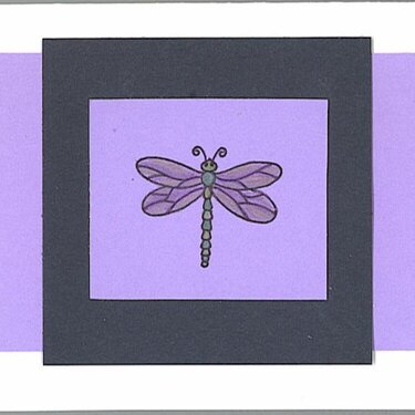 Dragonfly (blank)