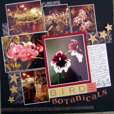 Bird&#039;s Botanicals