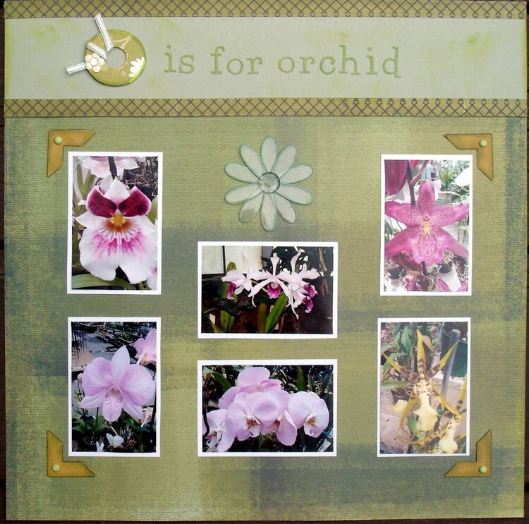 O is for orchid