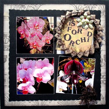O is for orchid