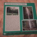 Manoa Falls