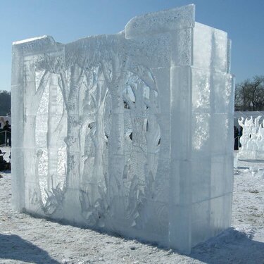 January 26  Ice Shadow box