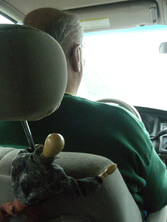 Feb. 1 Sven the &quot;back-of-the-seat driver