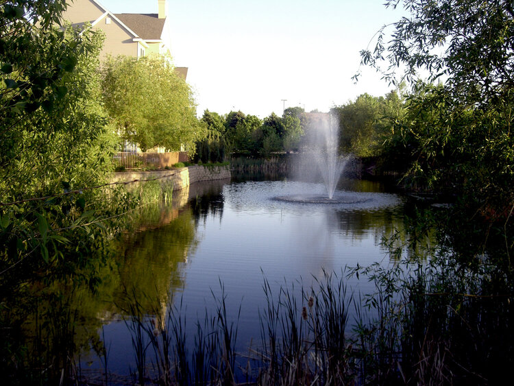 May 30 Pond behind Granite City Restaurant