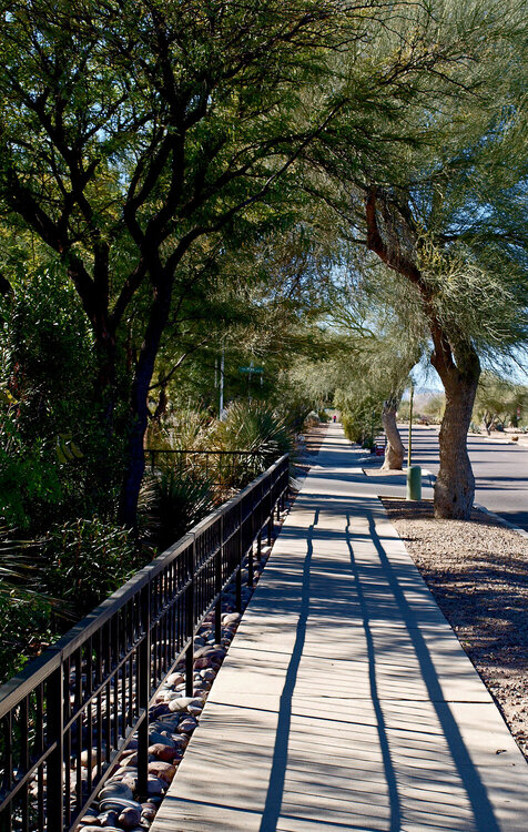 The Long sidewalk