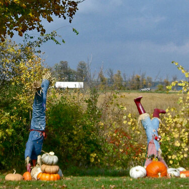Oct 31  Tumbling Scarecrows