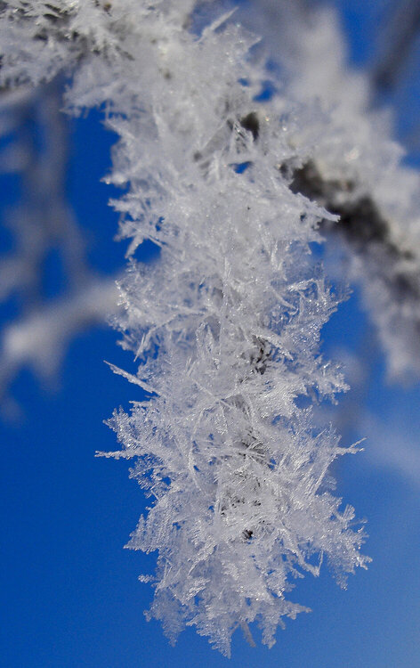January 23  Frost Explosion