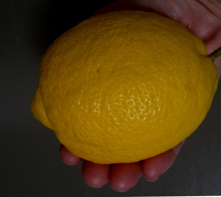 One BIG lemon