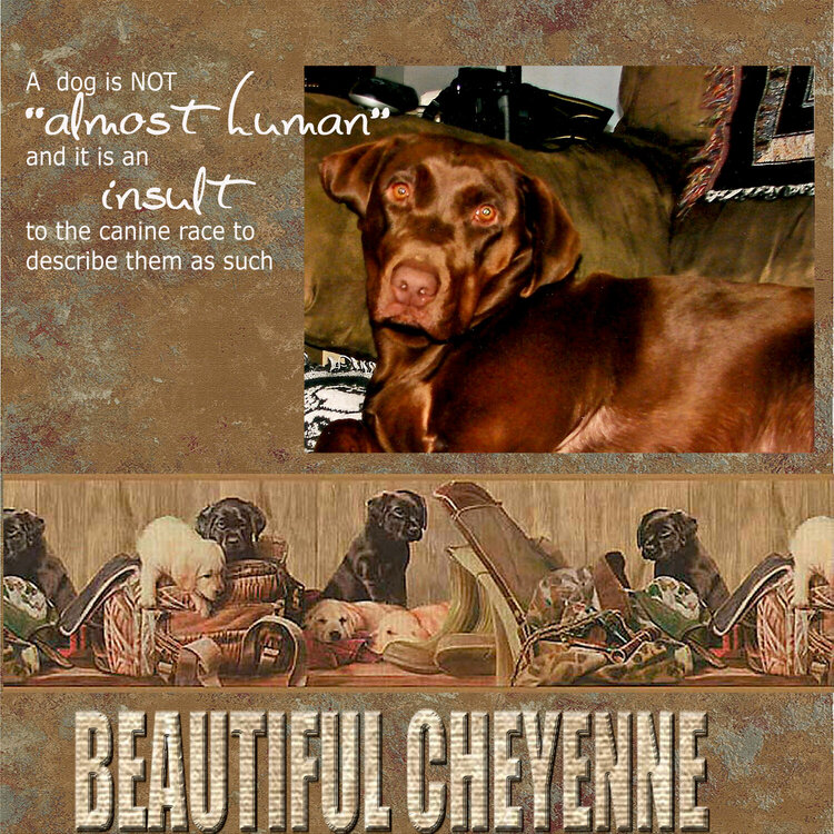 Beautiful Cheyenne