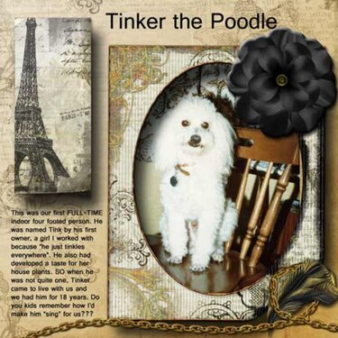 Tinker the Poodle