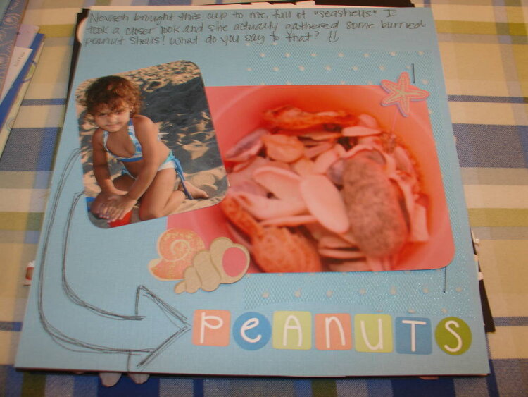 Seashells &amp;amp; Peanut Shells