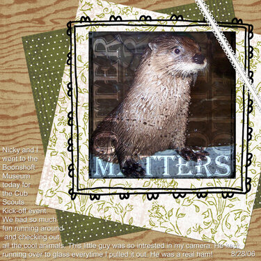 otter matters
