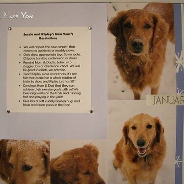 Dogs New Year&#039;s Resolutions