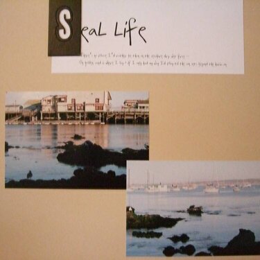 Seal Life