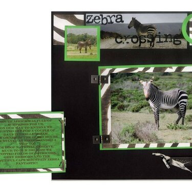 Zebra Crossing with journaling