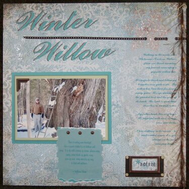 Winter Willow