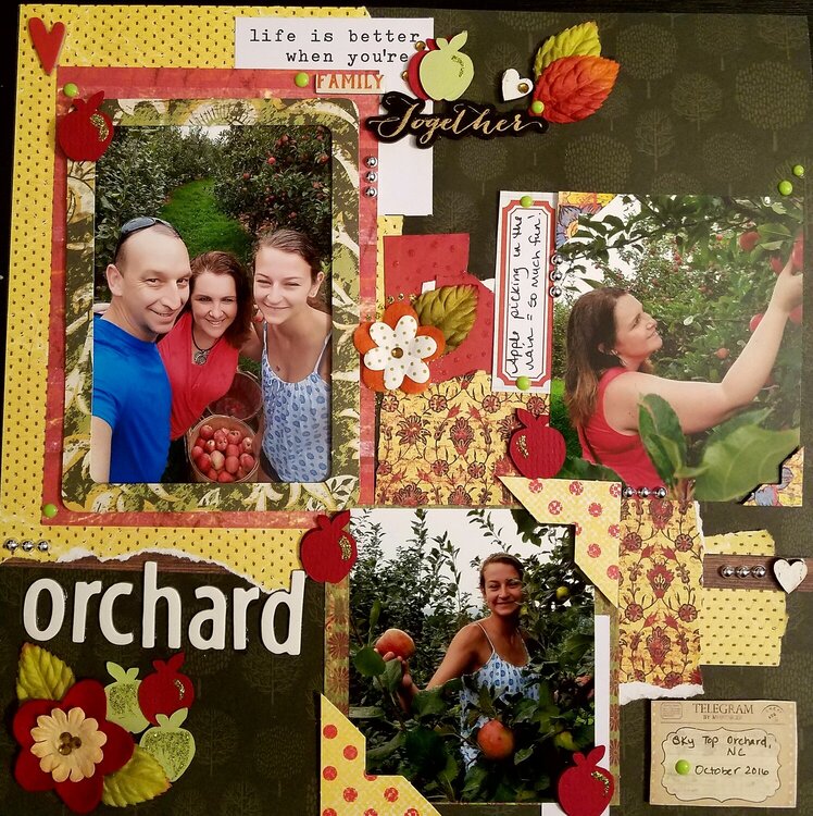 Day at the Apple Orchard