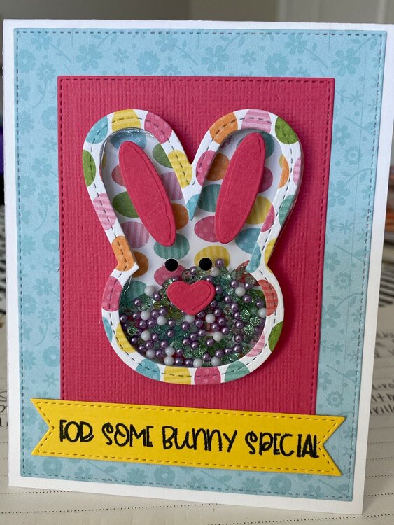 Some Bunny Special