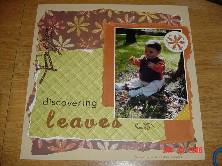 Discovering Leaves