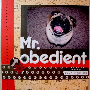 Mr Obedient